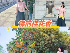 -西安大兴善寺