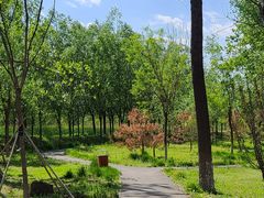 -东郊湿地公园