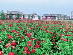 -长春北湖公园