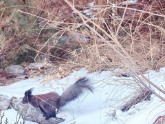 -龙洞风景区-藏龙涧