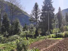 -鹿院坪生态旅游景区