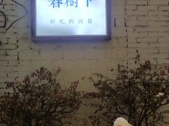 -春树下·树屋花房西餐厅(罍街AS1980店)