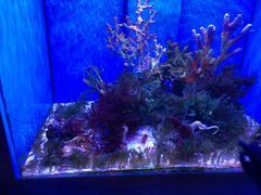 -多彩贵州城极地海洋世界