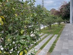 -中国移动南方基地