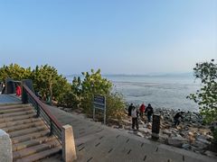 -深圳湾公园(南山区)