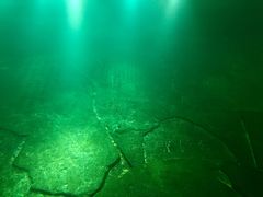 -白鹤梁水下博物馆