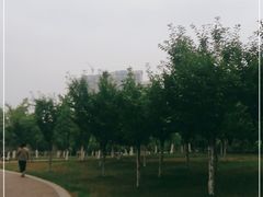 -府河摄影公园