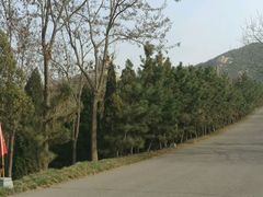 -龙口南山旅游景区