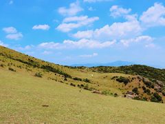 -大姆山草场