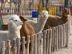 -水上乐园·欢乐世界