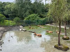 -溱湖国家湿地公园