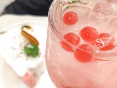-共舞时光猫咖·狗咖(新街口店)