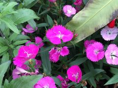 -龙环葡韵住宅式博物馆