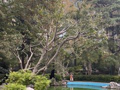 -静安公园(静安寺街道)