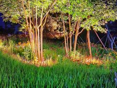 -小麦岛公园