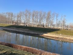-坝河休闲公园