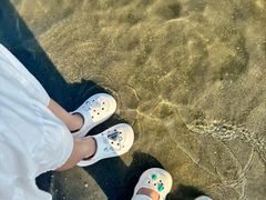 -碧海金沙