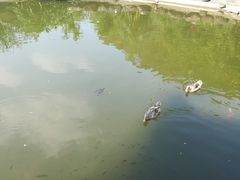 -广州神农草堂中医药博物馆