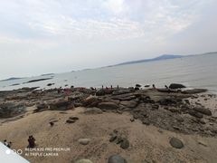 -黄金海岸环岛路