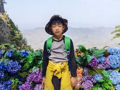 -秦岭天竺山生态文化旅游景区