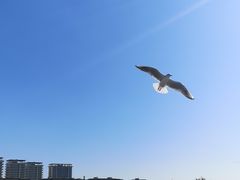 -五甲塘生态湿地公园