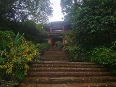 -中国茶叶博物馆(双峰馆区)