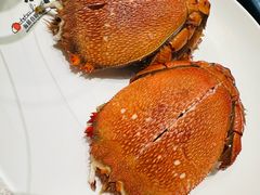 -初色海鲜自助(万丰路店)