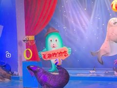 -芜湖新华联大白鲸海洋公园