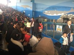 -苏州海洋馆