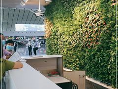 -张家界荷花国际机场航站楼-国内出发