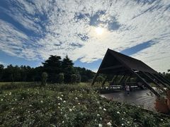 -上海滨江森林公园