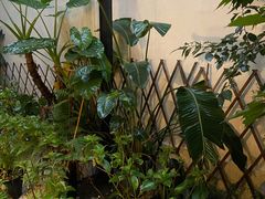 -边渡咖啡烘焙店(昙华林店)