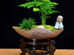-四云楼烤鸡店(吉庆街店)