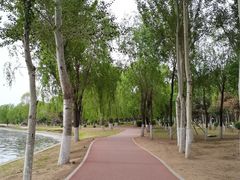 -丁香湖公园