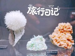 -墨尔本博物馆(Melbourne Museum)