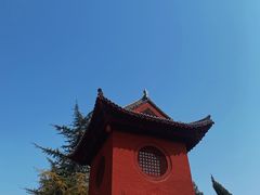 -洛阳白马寺
