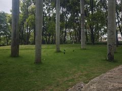 -四海公园(南山区)