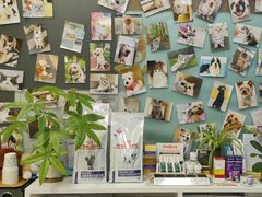 -爱妮康宠物医院·干细胞免疫细胞·肿瘤·心脏(张江店)