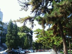 -东北大学(南湖校区)