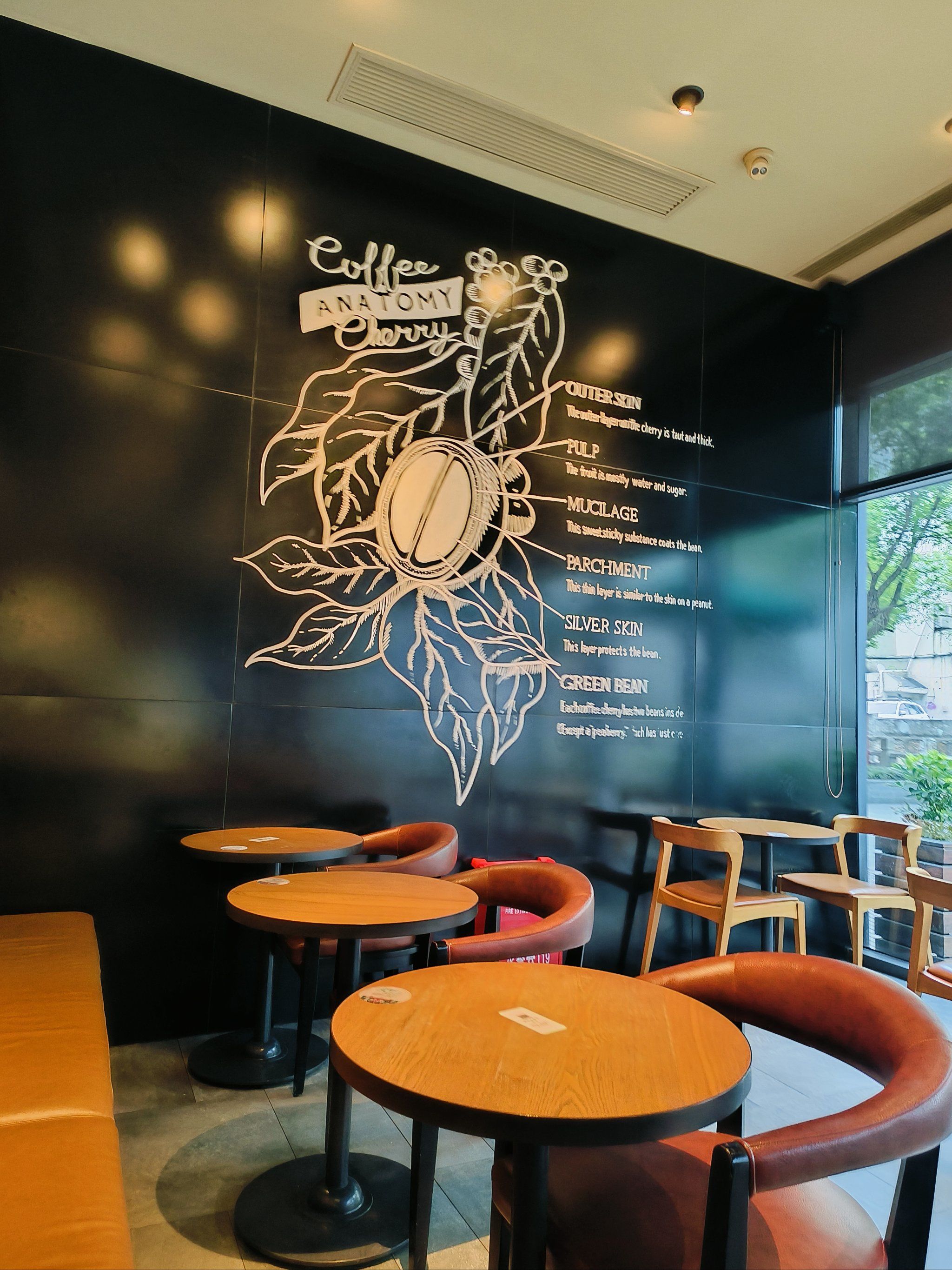 苏州的早晨来到星巴克坐着喝咖啡也是一种意