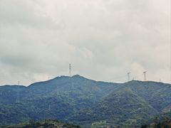 -飞来湖湿地公园