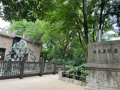 -紫金山山顶公园