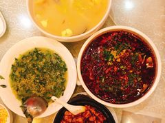 -陈麻婆豆腐总店
