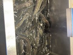 -周渝食惦酸菜鱼(青浦店)