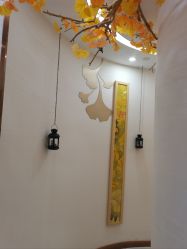 -芳朵美容养生SPA