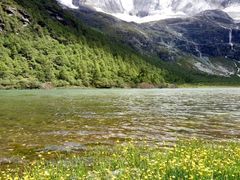 -稻城亚丁景区-冲古草甸