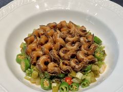 -子福慧(虹桥店)