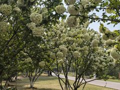 -盘龙城国家考古遗址公园