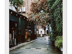 -nodcafe(M50创意园店)