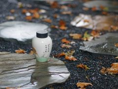 制作过程-少年宫包场活动-瓷语堂(上海五维空间创意园店)